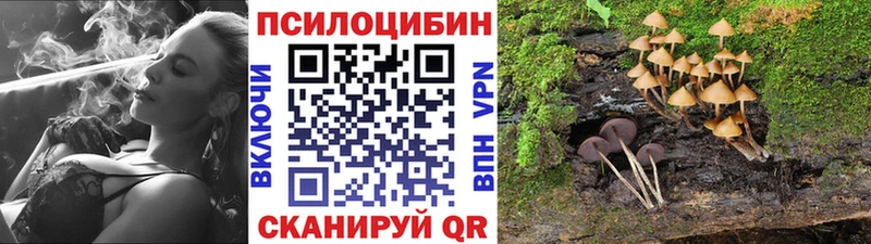 Галлюциногенные грибы Psilocybine cubensis  мега   Псков  магазин продажи наркотиков 